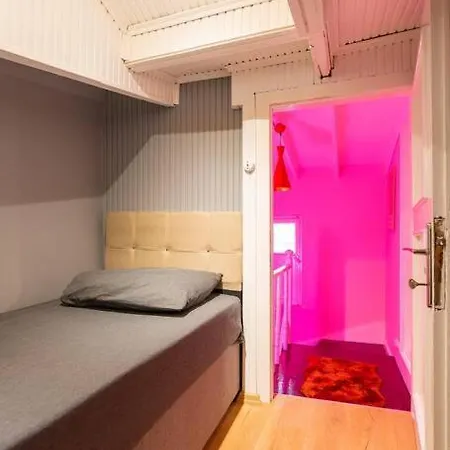 Villa Maximalist House In Center Istanbul